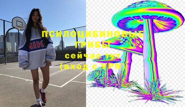индика Майский