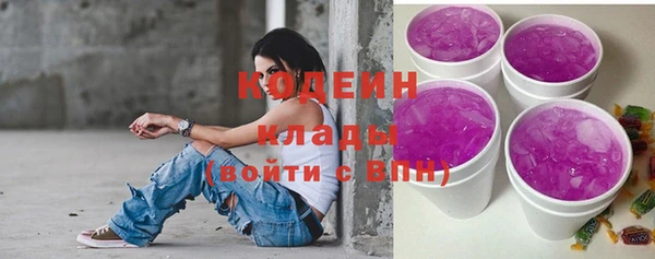 индика Майский