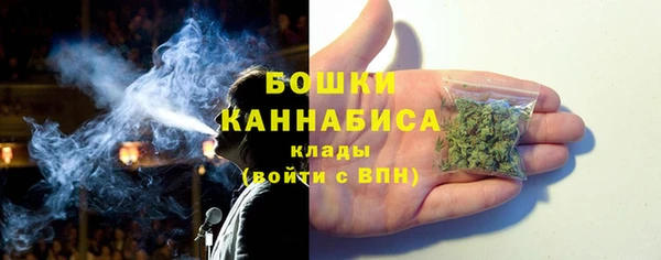 индика Майский