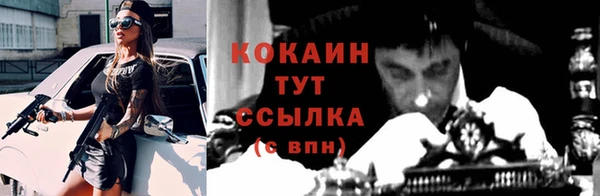 индика Майский