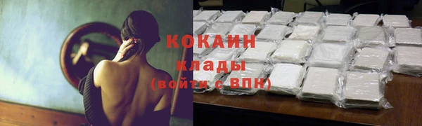 прущие крисы Магас