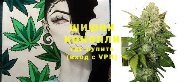 прущие крисы Магас