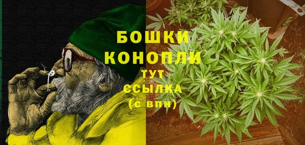 индика Майский