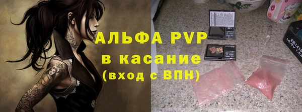 индика Майский