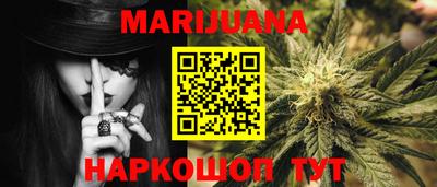 гашик Бийск