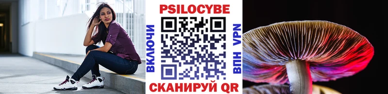 Галлюциногенные грибы Psilocybine cubensis  Гусь-Хрустальный 
