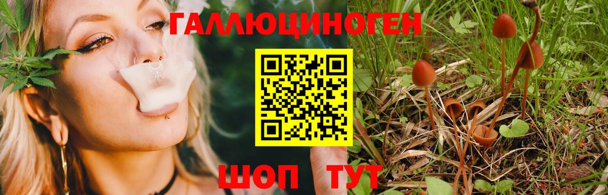 Меф мяу мяу Гусь-Хрустальный