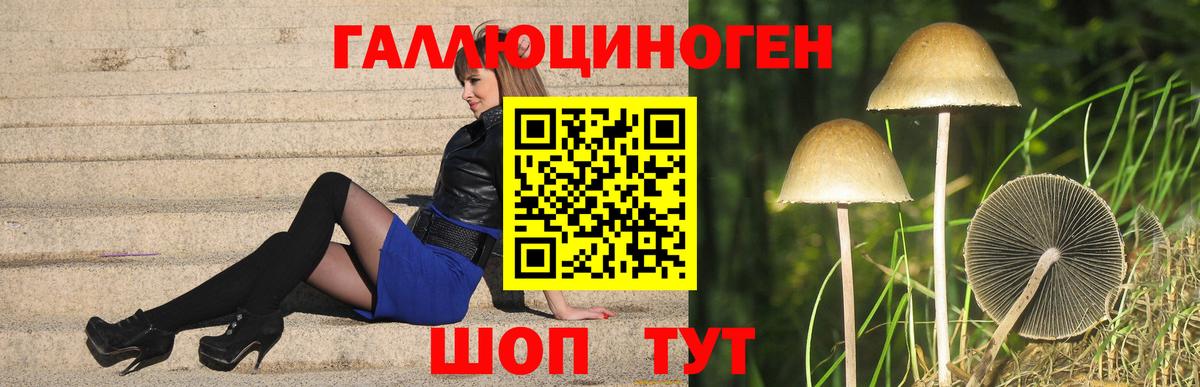 Псилоцибиновые грибы Psilocybe Гусь-Хрустальный