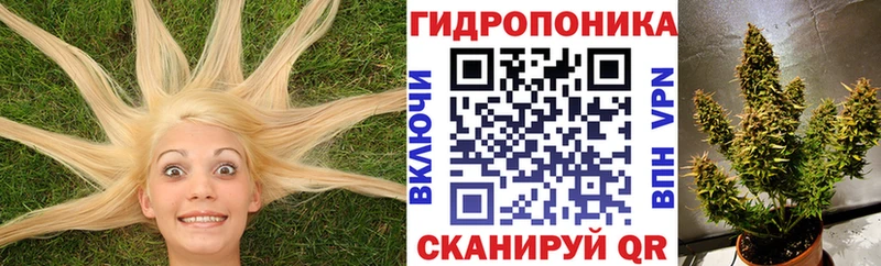 Каннабис Ganja гидра ССЫЛКА Гусь-Хрустальный
